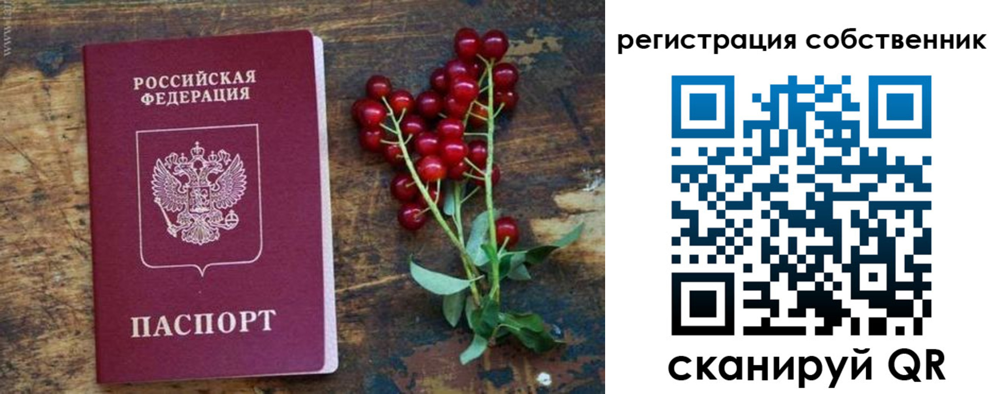 регистрация для дет. сада в Истре